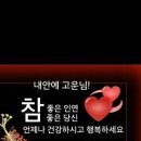 고운님 Daum카페