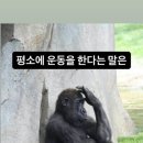 인의 이미지