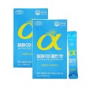 에버그린 이미지