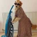 엄지세탁소 | 세탁소아저씨도 엄지척, 자취초보도 오키 비온 뒤 꿉꿉함 직방으로 없애기