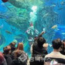 다누리센터 아쿠아리움 이미지