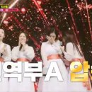 미스트롯 - 동구 동부로30길 29-1 | 미스트롯