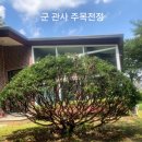 무성조경 네이버블로그