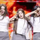 트리플에스 이미지