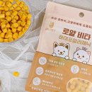 로얄종합동물병원 이미지