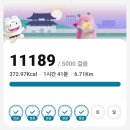 오늘도 사브작시브작 황토길걷고 ㅎ 이미지