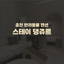 스테이 댕쥬르 이미지