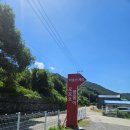 꿀꿀이식당 | 달성군 비슬산 계곡 꼬꼬요 꿀꿀이 계곡식당 아이랑 다녀왔어요! (음식,주차,계곡 후기)