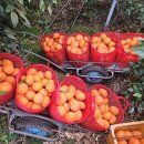 한진2농장 이미지