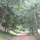 강진3호 이미지