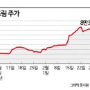 에코앤드림