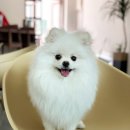 미스터앤 미세스멍 원주점 이미지