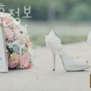 강남닥스결혼정보회사 이미지