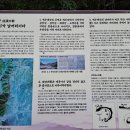 태극약초 네이버블로그