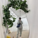 릴리폴스튜디오 이미지