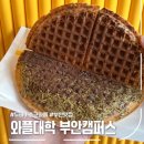 와플대학부안캠퍼스