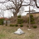 하늘교구사 이미지