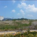 솔비공인중개사사무소 이미지