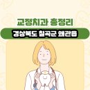의료법인건용의료재단 왜관병원 | 경상북도 칠곡군 왜관읍 교정치과 총정리