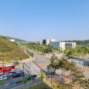 소담동 한국개발연구원 앞 이미지