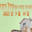 창조절기 2주일(연중 24주일) 감사성찬례_ 2025년 9월 14일 이미지