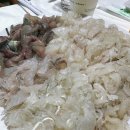 자연산매운탕 | 속초 설악항 회센터 맛집 | 호섭이네 횟집 자연산 회▪세꼬시▪물회▪매운탕 후기