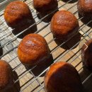 소예르Soller | 📍 담양 [소예르 Soller] 카페 방문 후기