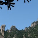(주)서호 티스토리
