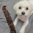 손씨부엌 이미지