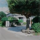 성산 동백소랑 이미지