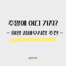 하양꿈바우시장 | 경산 하양 꿈바우시장 오일장 후기 (주차, 먹거리)