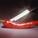 푸른 산마루 Daum카페