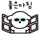 일랑일랑애견캠핑앤카라반