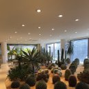 더하기센터 갤러리 이미지