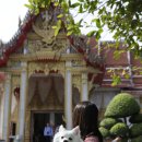 (주)펫에어라인 이미지