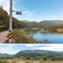 고란길(길안면) 이미지