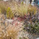 세종 베어트리파크 정원 돌아보기 이미지