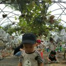 사내농장 이미지