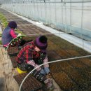 사내농장 이미지