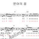 문어의꿈 이미지