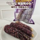 해뜨는 대풍농수산, 강원도 흑찰옥수수