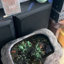 백송다방 - 124701 | 백송다방