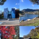 어느 날, 영월 산 책 | 영월 여행 가볼만한 곳 11월 |청령포 장릉 보덕사 동강사진박물관 서부시장 후기