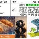 사도행전 2장 오순절이 충만히(fully) 이르렀을 때 - 2026년 오순절 타임라인 2 이미지