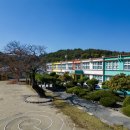 청풍초등학교 이미지