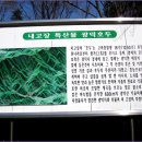 2011년 2월 세째주 정기 산행 안내 이미지