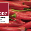 [2007년 팬톤 칼라] Pantone Color of the Year 2007 "칠리페퍼 Chili Pepper" 이미지
