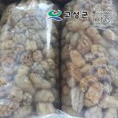 고성냉동수산