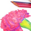 함께 그리는 색연필 일러스트 이미지