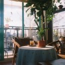 집에서 카페